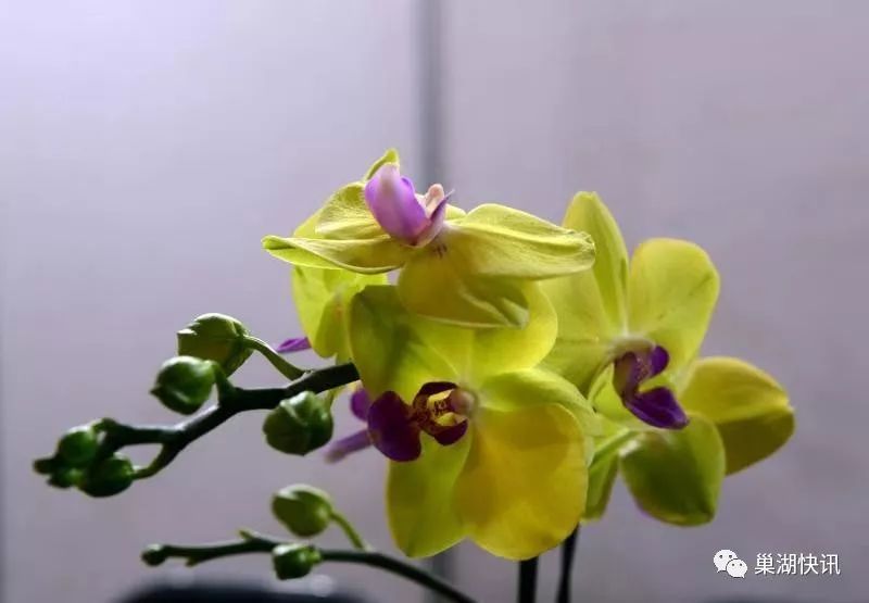 安徽巢湖开发区2020GDP_安徽巢湖照片(2)