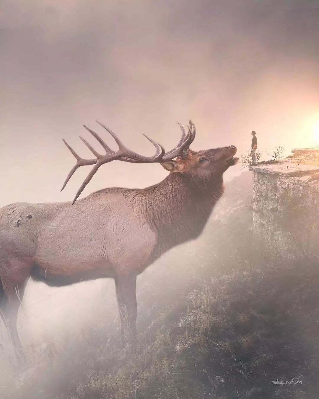 PS看这些作品可以脑补1000集动物世界电影!