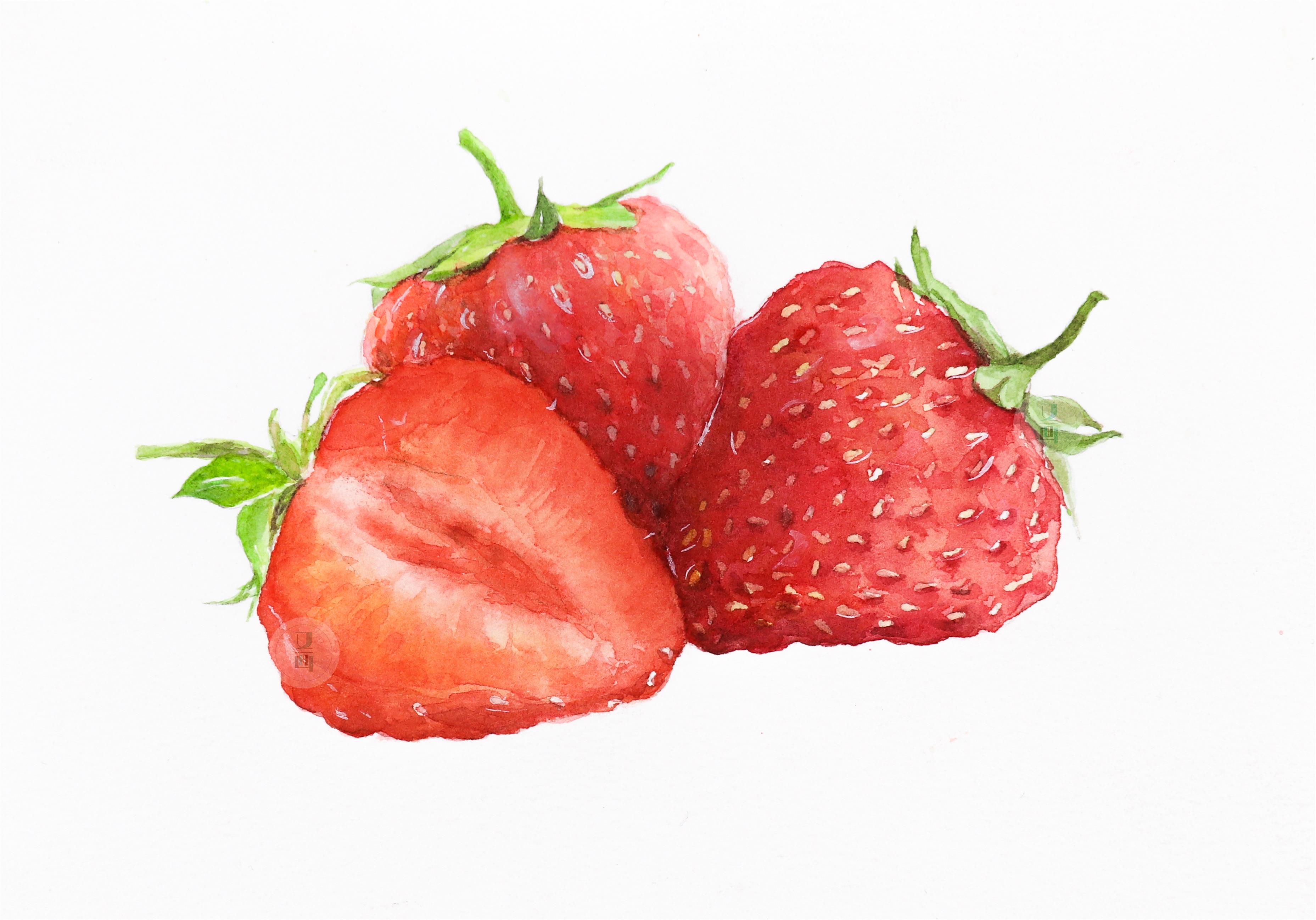 _水彩草莓教程 | 留白胶的使用技法