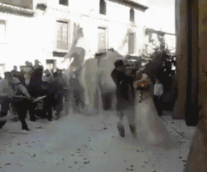 ad17055a690c4a08a86f912e6eab2b66.gif
