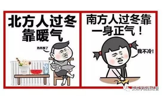 b366bf233d1d4bd78b331db9368cb0c5.jpeg