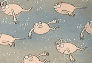 c42e7ea690ea442f914f1d83e91bb270.gif