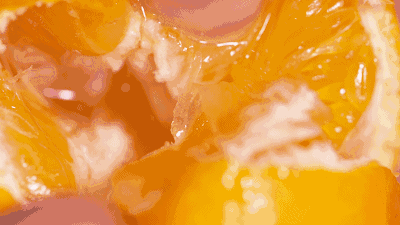 ceebcad044104b5abe067b25552fe731.gif