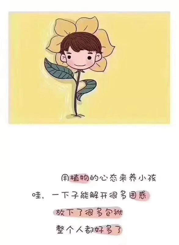 梦见自己比别人矮，解读梦境中的身高差异与内心感受