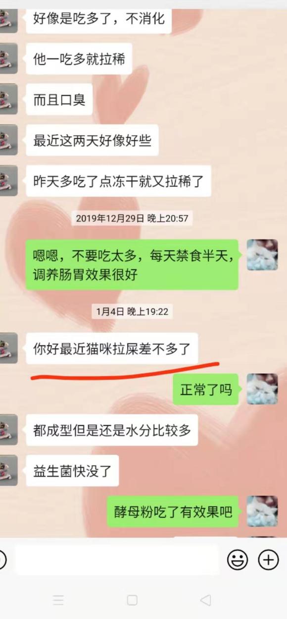d2d9ccf2fcbb46689ce49ed82c7a9c19.jpeg