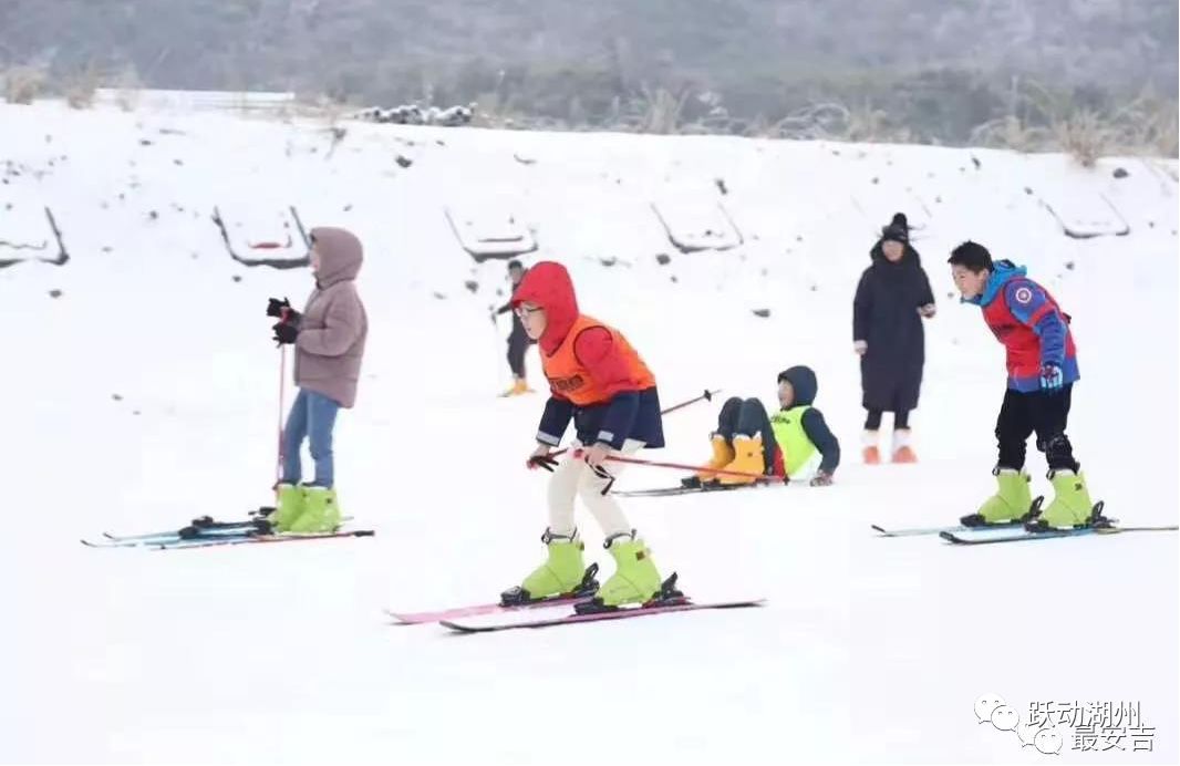 �����ݡ��滧�⡱�������ͣ��������