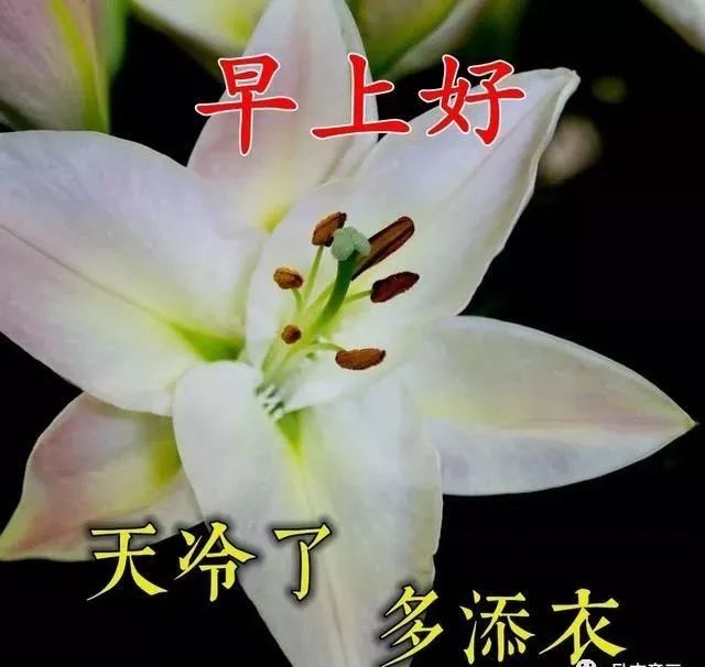 【漂亮可爱表情图片 早安祝福问候语】