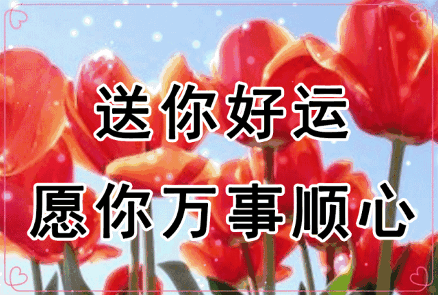 早上好周末快乐2020群图册太美了放到圈子里醉倒一批人