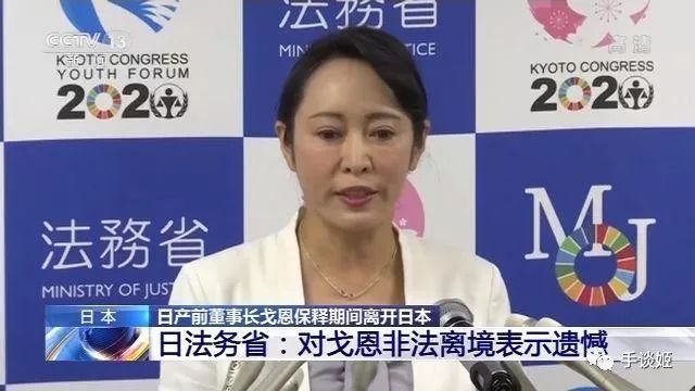 繳15億保釋金的日產董事長藏大提琴箱離日本？有人把這場年末大戲做成了遊戲…… 遊戲 第7張