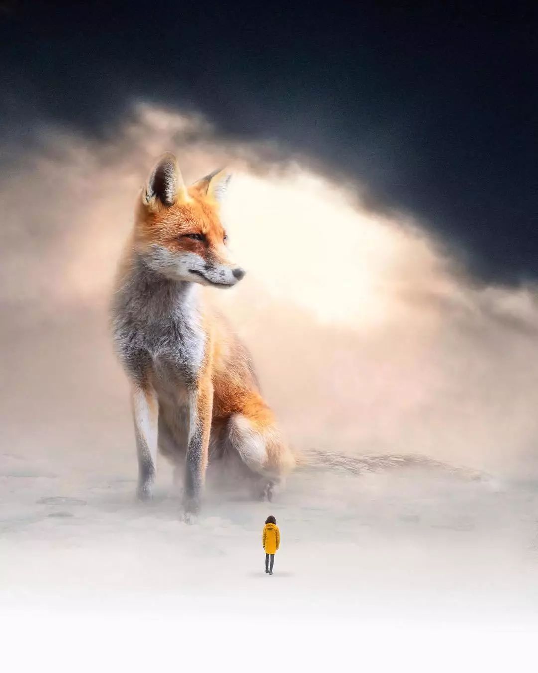 PS看这些作品可以脑补1000集动物世界电影!