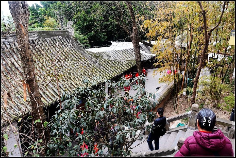 三峡系列二：江上有仙山，奉节白帝城、3