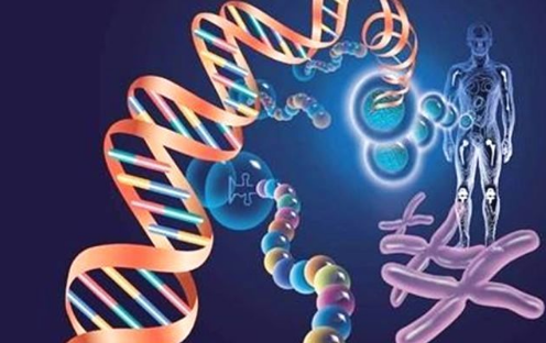 什么是基因污染 1d027881a05a479b9ffd7d4a09f30e04.png