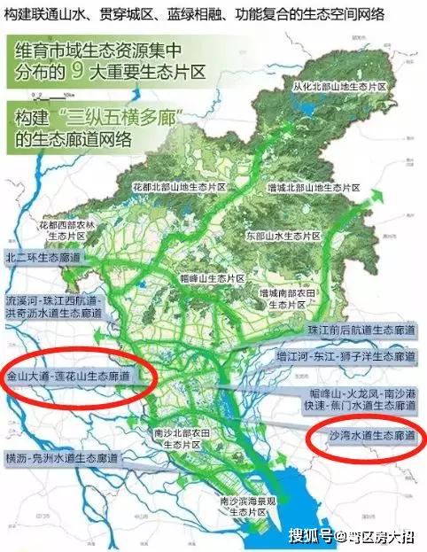 番禺大石人口_广州番禺大石植村