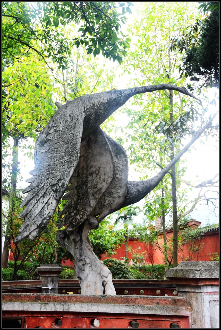 三峡系列二：江上有仙山，奉节白帝城、2