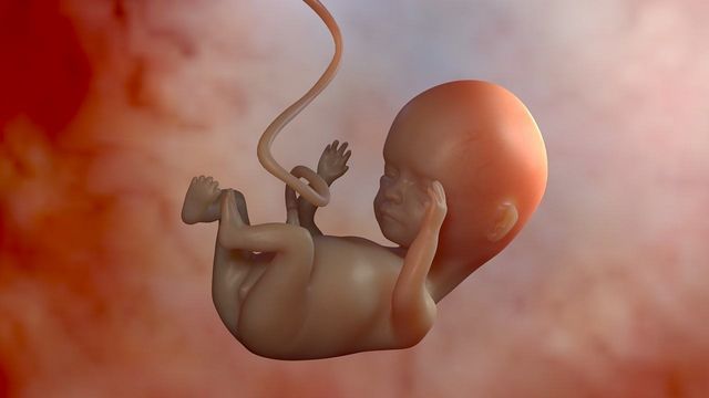 孕期体重如何控制？单胞胎和多胞胎差别大！怀孕后，你最担心什么_