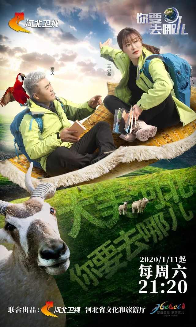 终极剧透!国内首档盲游式旅行真人秀节目《你要去哪儿》今晚开播!