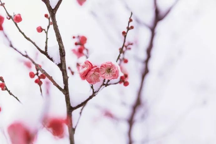 总有遇见,永如初见