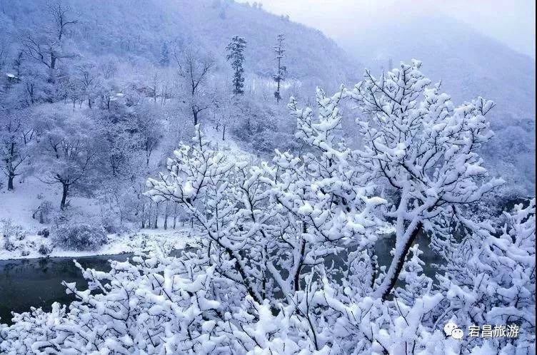 冰封雪盖的山涧 让游人频频驻足欣赏 寒冷的冬天 官鹅沟里的美景 却个