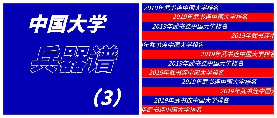 2019网大排名
