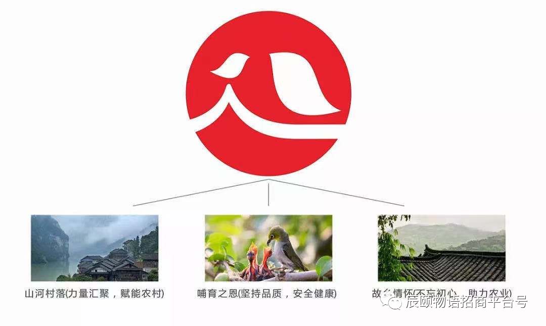 辰颐物语||你不知道的辰颐物语