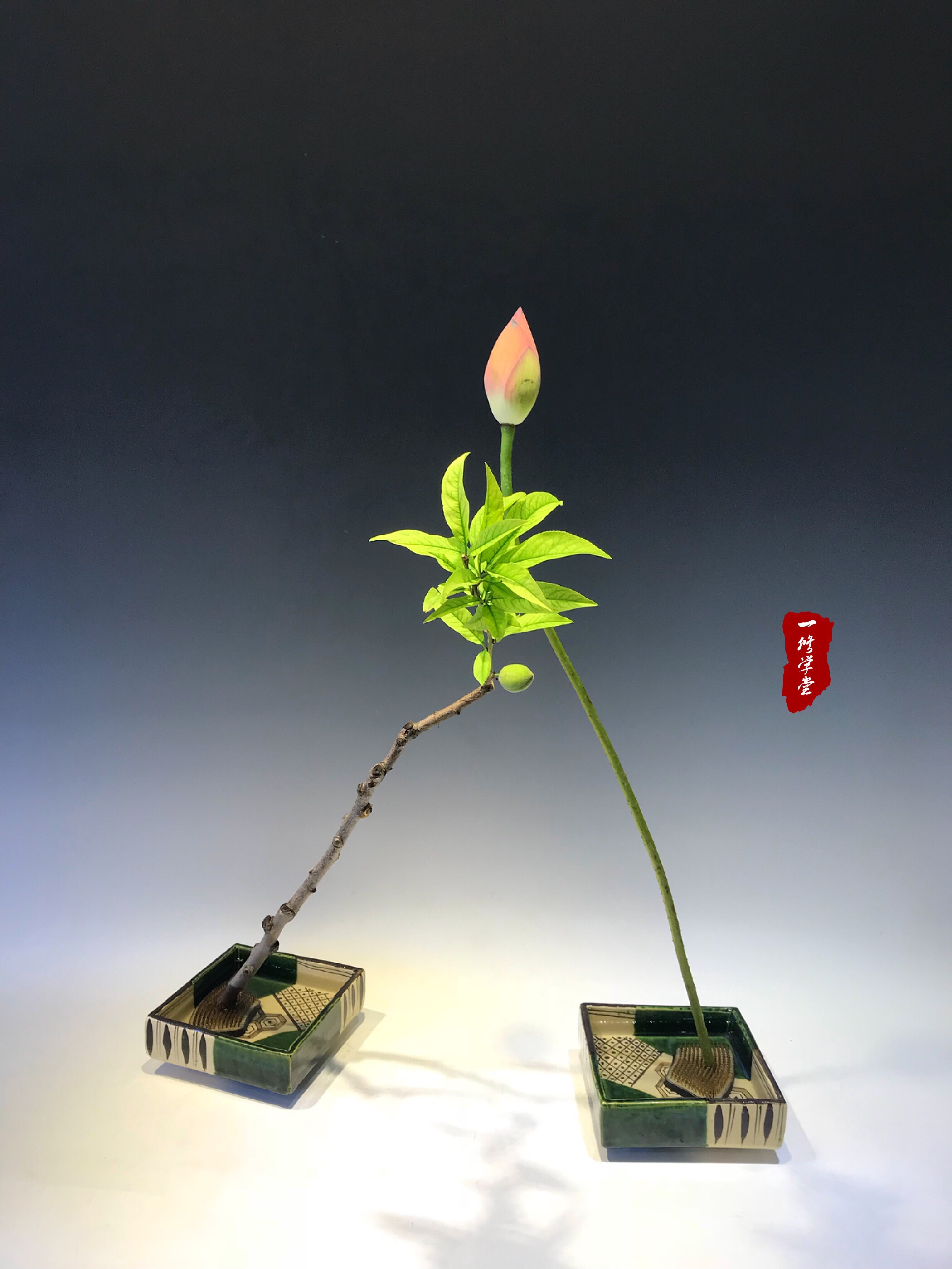 小原流入门课||花意匠开放式花型图案例 小原流入门课||花意匠开放式花型图案例