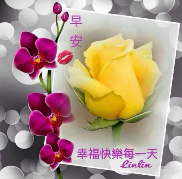 【早上好祝福图片 早上好问候句子】