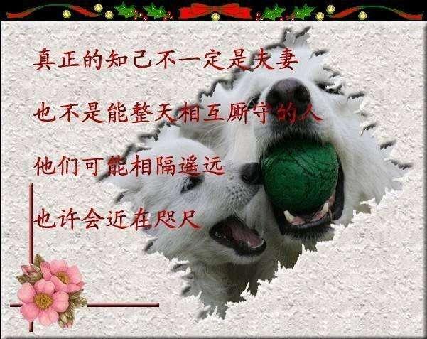 446efb52c2fe47219a8508888e8af2ff.jpeg