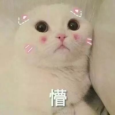 45a2c9a027a647538ab2db40a6c551ed.jpeg