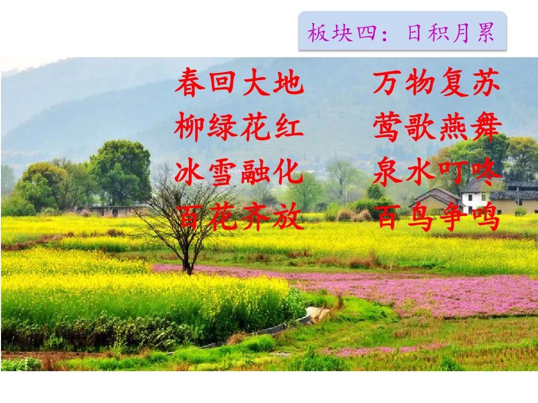 百花齐放百鸟争鸣猜一成语_百花齐放百鸟争鸣图片(3)