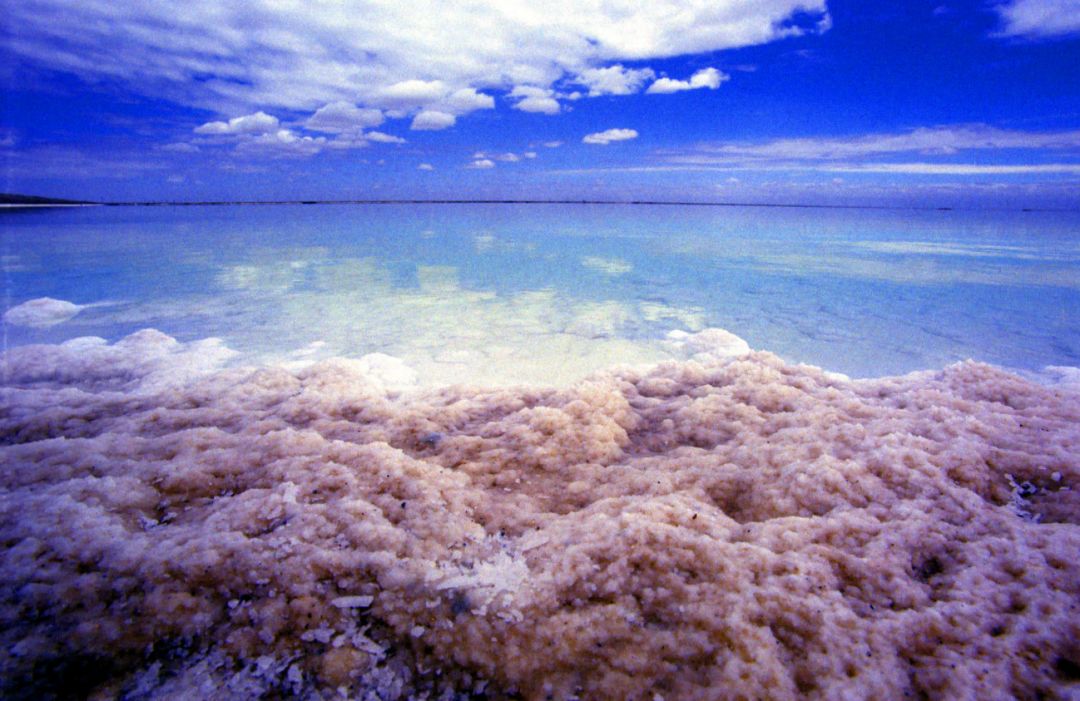 在青海做钾肥命运,像极了那位开直升机回家富豪?