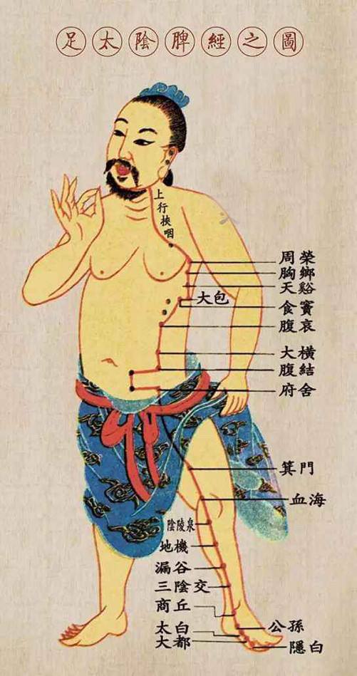 足太阴脾经——滋阴养血，百病不生