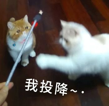 太火爆！ 还能涨！ 赶紧上车！