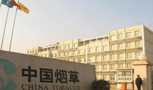 如何进国家烟草公司 6668188c17704d3393119ea1d67e03f6.jpeg