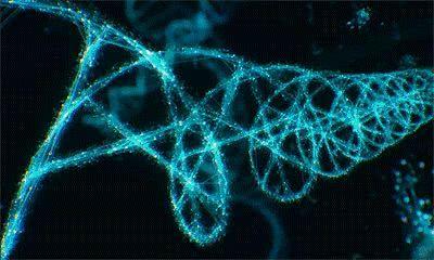 什么叫基因检测 DNA 6a0c2a1fd9304655a23609cd8dad802e.jpeg