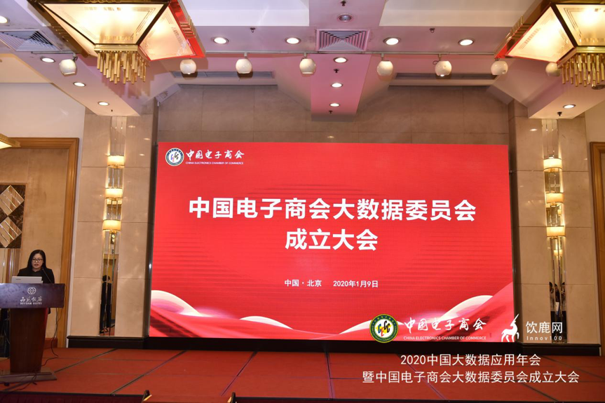 中国电子商会大数据委员会在京正式成立