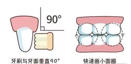 「睿宝儿科」老母亲太难了！每天辛苦给宝宝刷牙，为什么牙齿还是黄了？