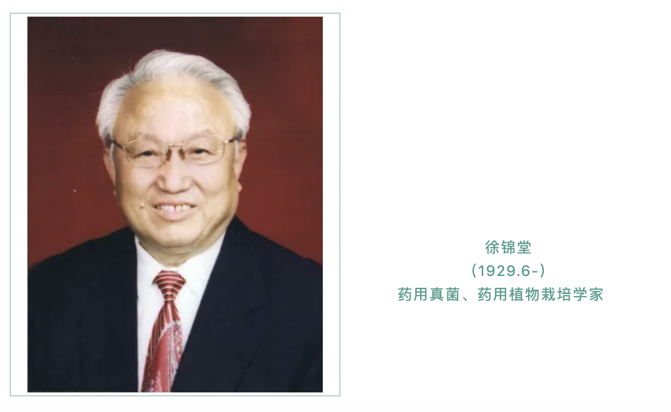 仍然坚持研究,他揭开了天麻生长的全部奥秘,药农为他立碑塑像_徐锦堂