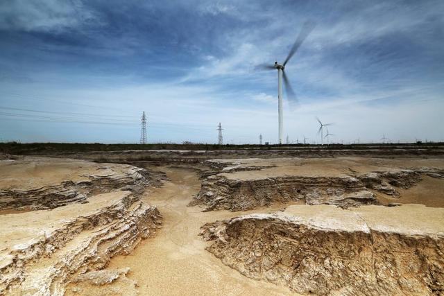 "地球之癣"盐碱地,胜伟用实践证明可以治愈_滨海