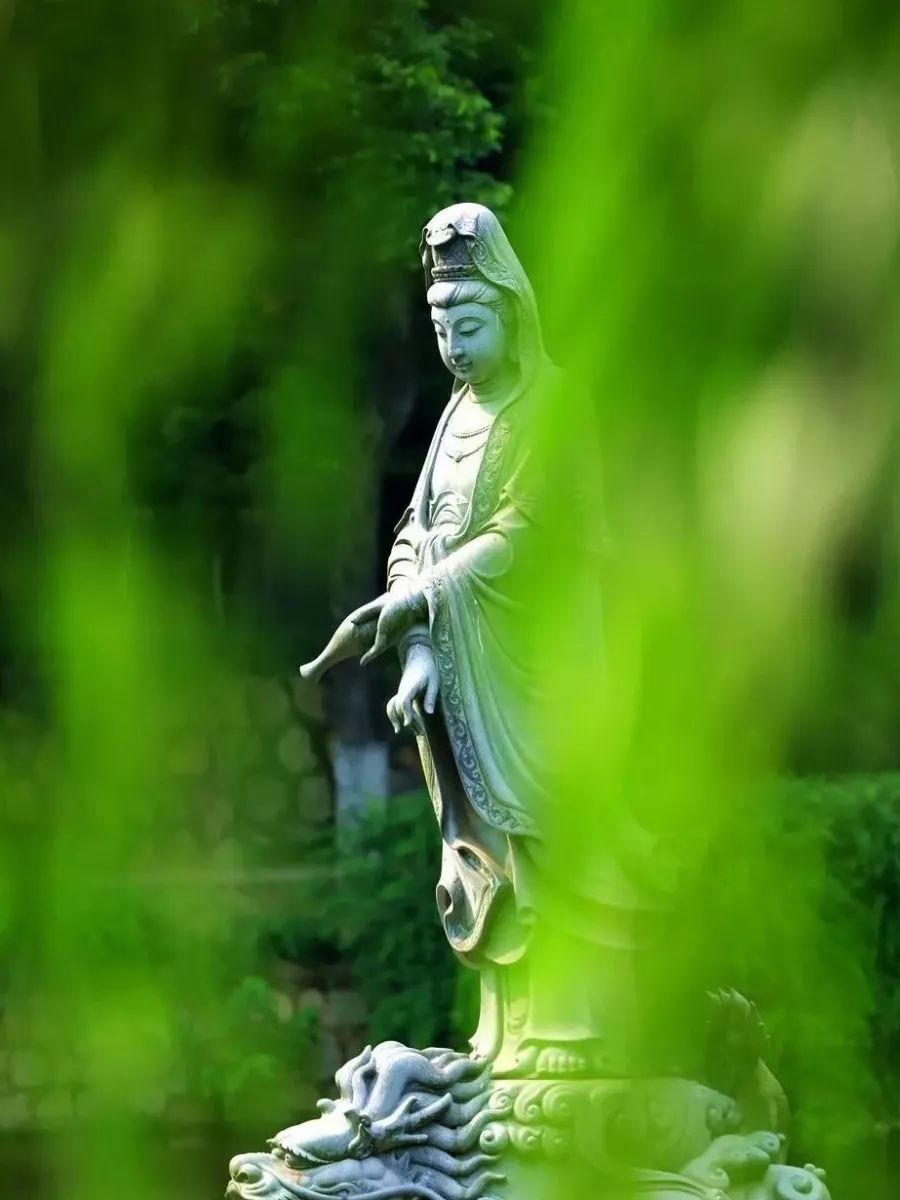 阅读点亮人生│欲乐与法乐