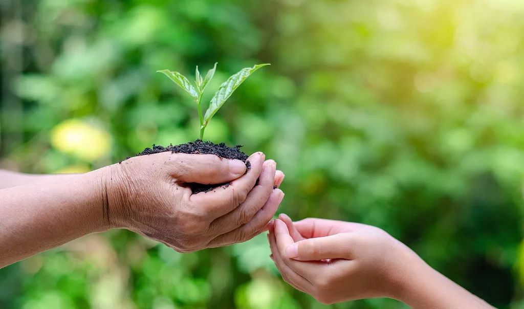 怎么才可以让自己变成一个正常人 bd49dad894cc482a93b81ea650a2335f.jpeg