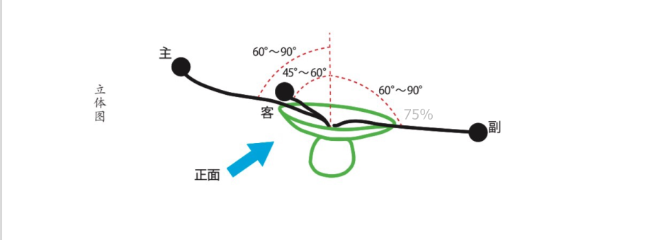 小原流入门课||花意匠开放式花型图案例