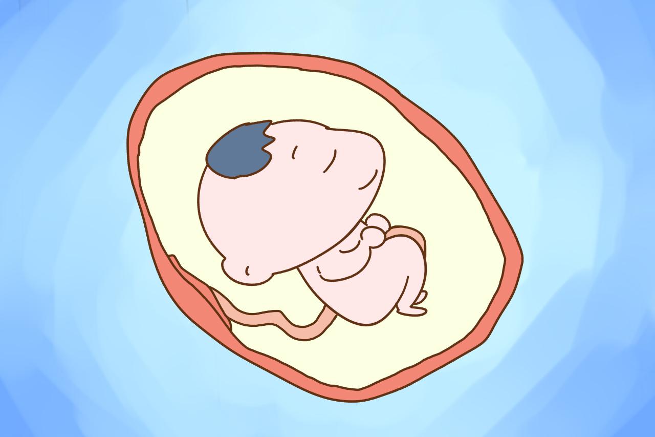  [孕妈晚上睡觉时，胎儿到底在干嘛？医生公开的B超画面很有趣] 