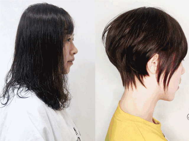 win style美发沙龙年前最后一次钜惠活动开始啦
