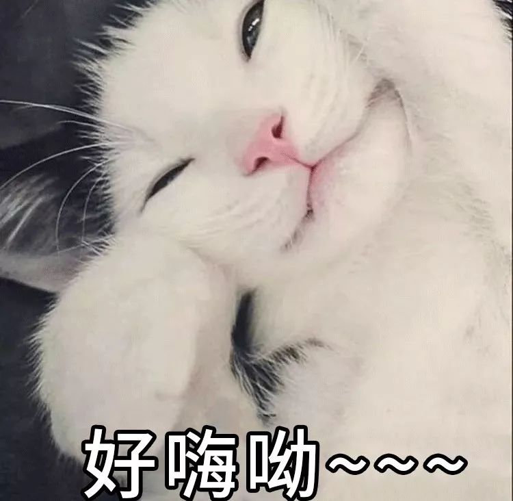 太火爆！ 还能涨！ 赶紧上车！