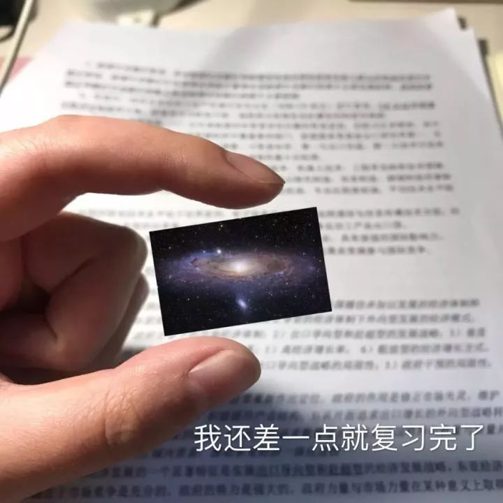 有哪些适合期末考试发的沙雕表情包