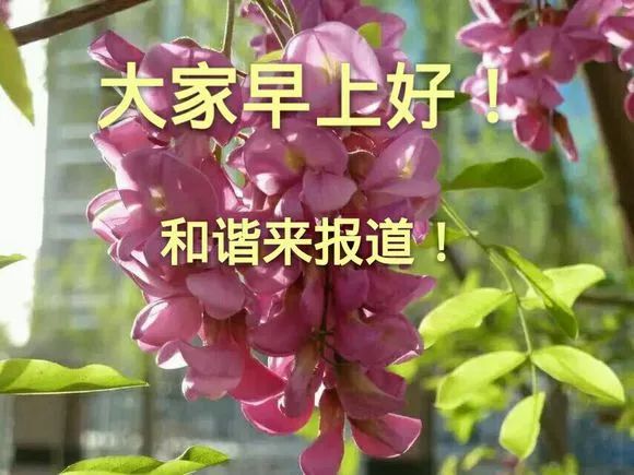 f5d90a41c3f6446f999f4245de6f0341.jpeg