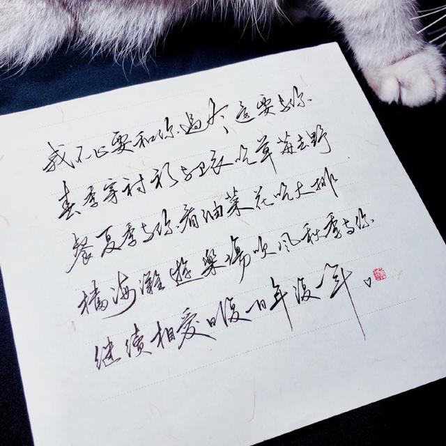 星河不及你曲谱_满目星河不及你头像(3)