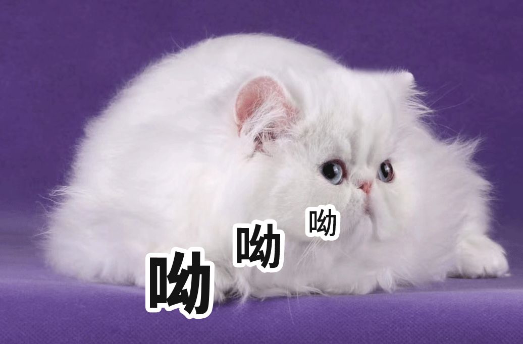 太火爆！ 还能涨！ 赶紧上车！