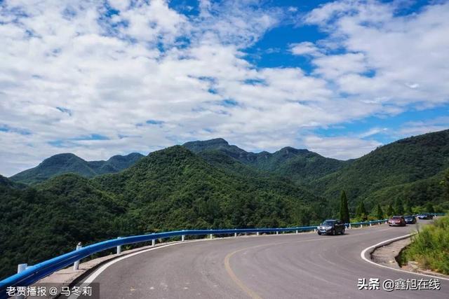 洛阳2020年8月景点排名a_2020年洛阳这些项目统统免费