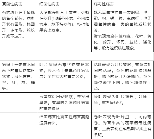 什么时候检查激素六项最准确 05197a38576a480c8a873bd3bf19f71f.png